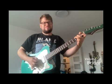 The Wolf Guitars - T - Plank custom demo by Adam Krofián