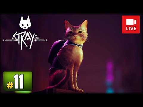 [Archiwum] Live - STRAY #11 - "Korporacja Neco i klub"