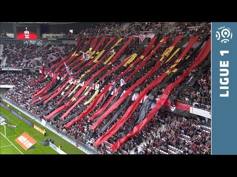 Ligue 1 - Week 12 : zapping - 2013/2014