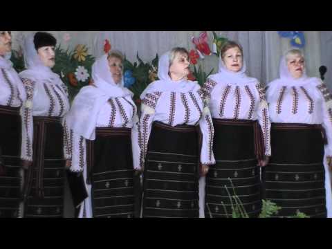 Vin 2 frați din cătănii BĂCIȚELE