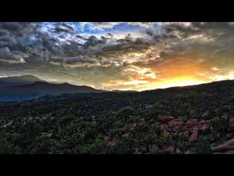 TNT ROOTS- ELOHIM/VERSE