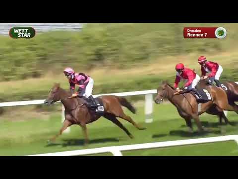 Galopprennbahn Dresden - 07.08.2022 - 7.Rennen