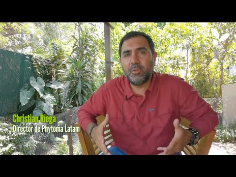 Phytoma Latam: la primera Taurina Agrícola para liderar Perú y Latinoamérica (VIDEO)