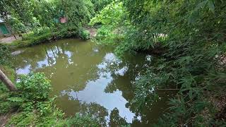 View of small pond . DJI 20250919105051 0001 D