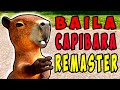 Baila CAPIBARA La EMOTISA INSANA 2024 REMASTERIZADA FULL HD MEME MUSIC