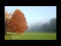 Morning Mist - Brian Crain