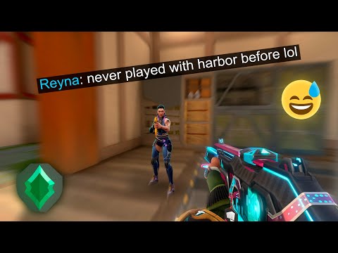 This Reyna is something else🤣... Harbor To Radiant Ep.3