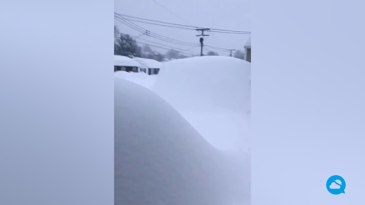 youtube video id=6m8mNWMmzOc