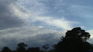 Interpol ~ Always Malaise