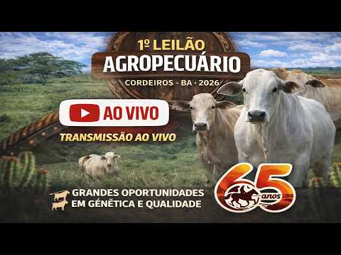 AO VIVO: 1º LEILÃO AGROPECUÁRIO Cordeiros – BA- 2026🐄 Grandes oportunidades em genética e qualidade🐂