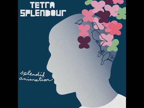 CFCs - Tetra Splendour
