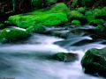 The River - Brian Doerksen 
