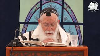 האם ברכות התורה הם שלוש ברכות או שתיים | הרב אליקים לבנון | הלכות תפילת שחרית | 10 (ישיבת ברכת יוסף - אלון מורה) - התמונה מוצגת ישירות מתוך אתר האינטרנט יוטיוב. זכויות היוצרים בתמונה שייכות ליוצרה. קישור קרדיט למקור התוכן נמצא בתוך דף הסרטון