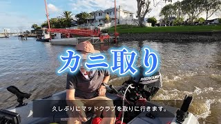 マッドクラブを取りたい