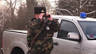 Правила ловли щуки на жерлицы в беларуси