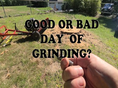 Is Renting A Home Depot Stump Grinder Worth It????