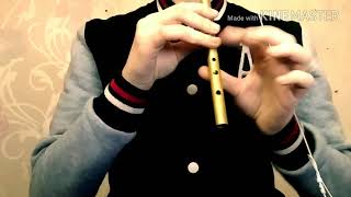 Cruachan - The Children Of Lir (tin whistle cover)