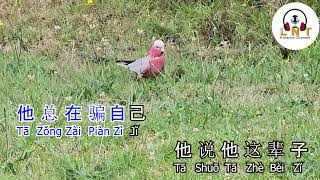 Download lagu Yuán Lái Shì Xià Xià 原来是夏夏  -  再也不是你  Zài Yě Bù Shì Nǐ ( KARAOKE ) mp3
