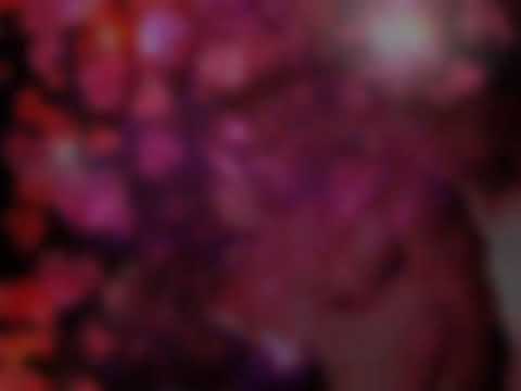 NOQU CALA AU KILA KO BEITAKI AU KINA. SENI DAWA NI DELAI DOKIDOKI. VOLUME 3