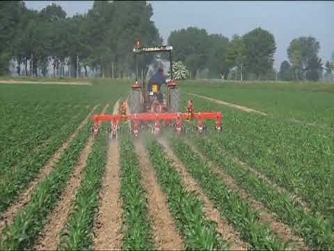 BADALINI INTER ROW CULTIVATOR Maia