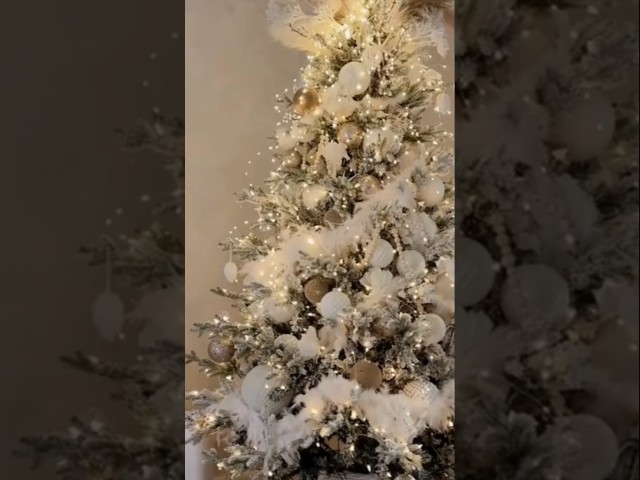 Vídeo relacionado con para árbol de Navidad, de la amistad, de reales, decoración navideña para