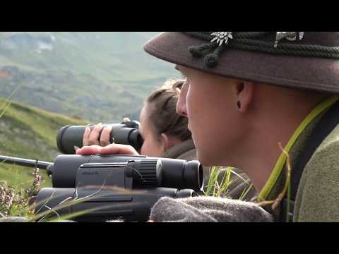 Murmeljagd in den Osttiroler Alpen