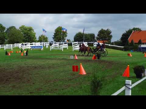 Fahrturnier Ostenfelde 19.8.2017