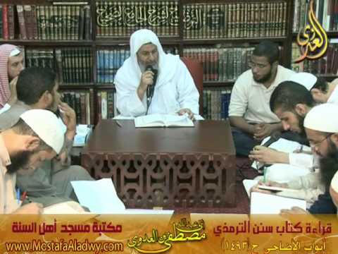  3 9 2015 شرح سنن الترمذى أبواب الأضاحى 