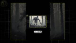 Figuras imóveis e o aviso espiritual das lendas da floresta.