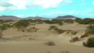 SPAIN Caleta de Famara, Lanzarote (hd-video)