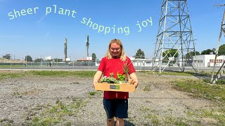 Double Trouble at Rosales (Double Mega Haul)