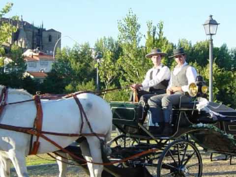 Lobo y Melón - La Bola