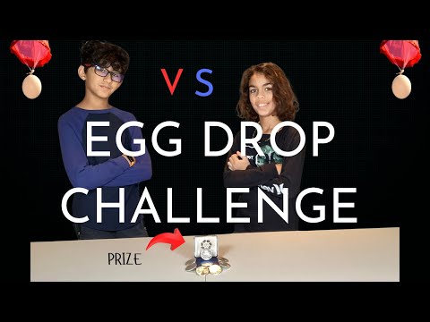 LEGO Egg Drop Challenge (500$ Prize)