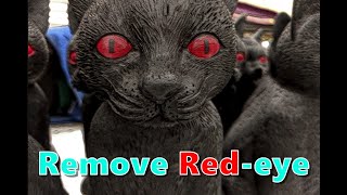 🎨 How to remove red-eye | PhotoDirector 11(365) Tutorial