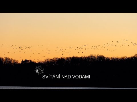 SVÍTÁNÍ NAD VODAMI