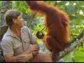 Crocodile Hunter Faces In The Forest Part 1