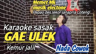 Download lagu Karaoke sasak BERAYE JAOK ULEK kemur jalil terbaru Arr: @MEMET_MK_ mp3