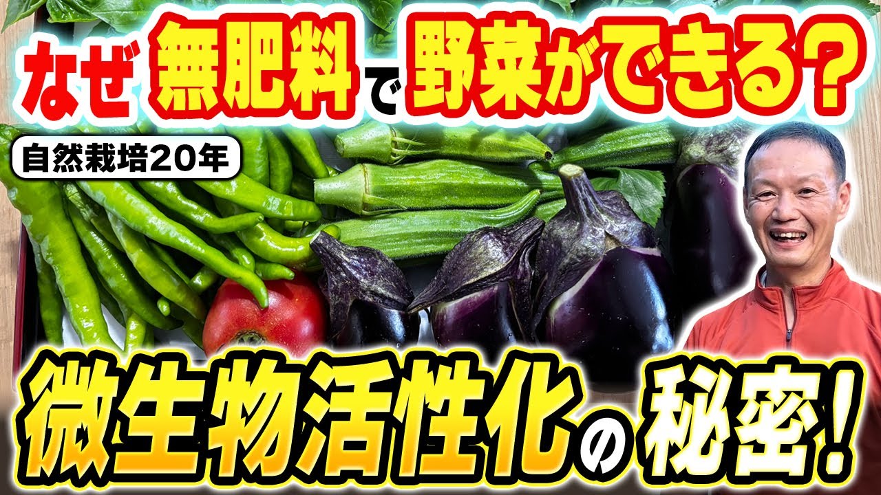 無肥料で野菜が育つ土と微生物の真実