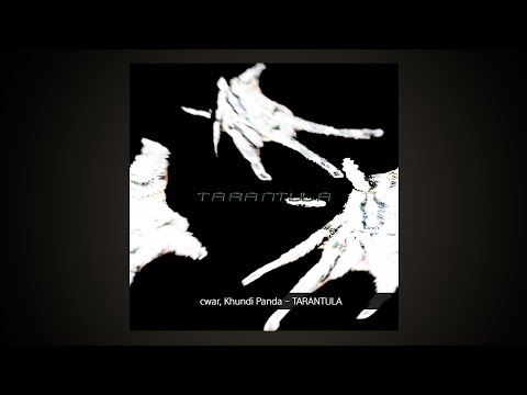 🔹 cwar, Khundi Panda - TARANTULA  Ι  Lyrics/가사