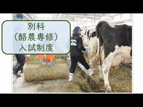 入試制度（別科）
