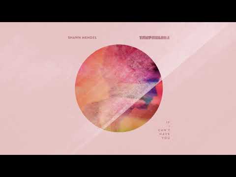 Yan Pablo DJ e Shawn Mendes - If I Can't Have You (FUNK REMIX)