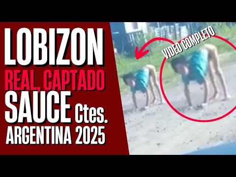 Video Viral del Lobizon en Concepcion Corrientes│La Leyenda del Lobizon│Lobizon Aparece de dia