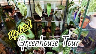 Updated Greenhouse Tour | FB Splurge and Purge