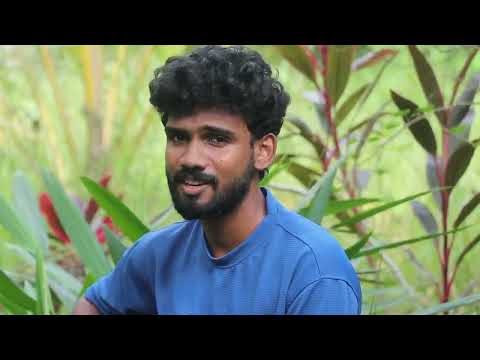 මගේ ජීවිතේ අලුත් පිටුවක් පුරා | Mage Jiwithe Aluth Pituwak Pura | Cover by Chiraso