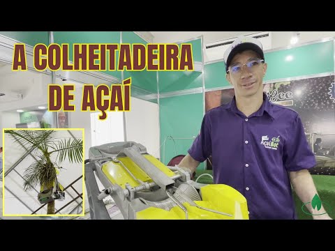 Conheça o AçaíBot, o robô que acelera a colheita do Açaí