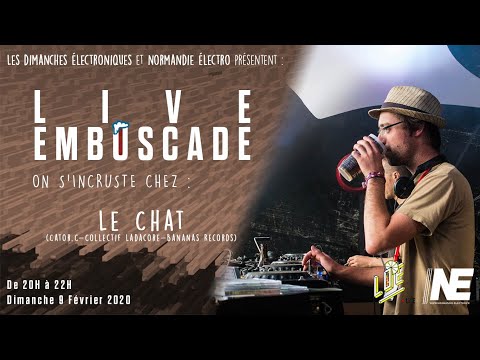 Le Chat @ Embuscade - Dimanche 9 Février 2019