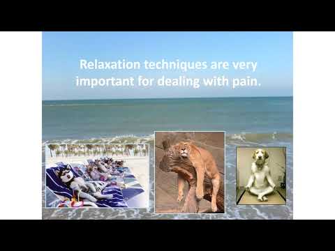 National Webinar on Managing Stress and Promoting Well-Being: Living With Chronic Pain