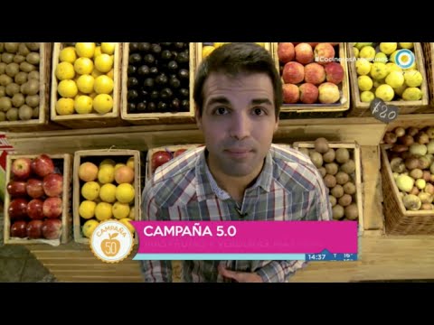Campaña 5.0 Episodio 1