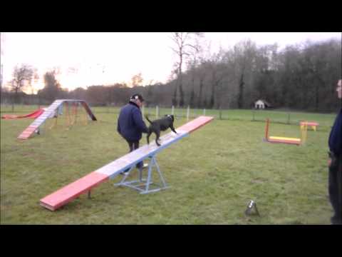 Irotaro entrainement