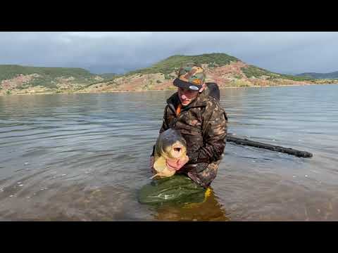 Karpfenangeln in Südfrankreich 4K